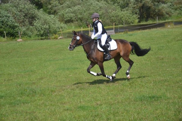 reitertag 2013 257